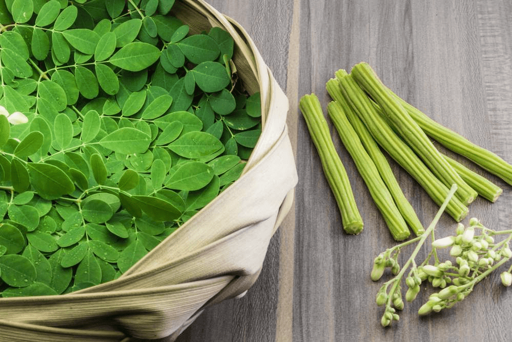 top-moringa-drumstick-exporters-india