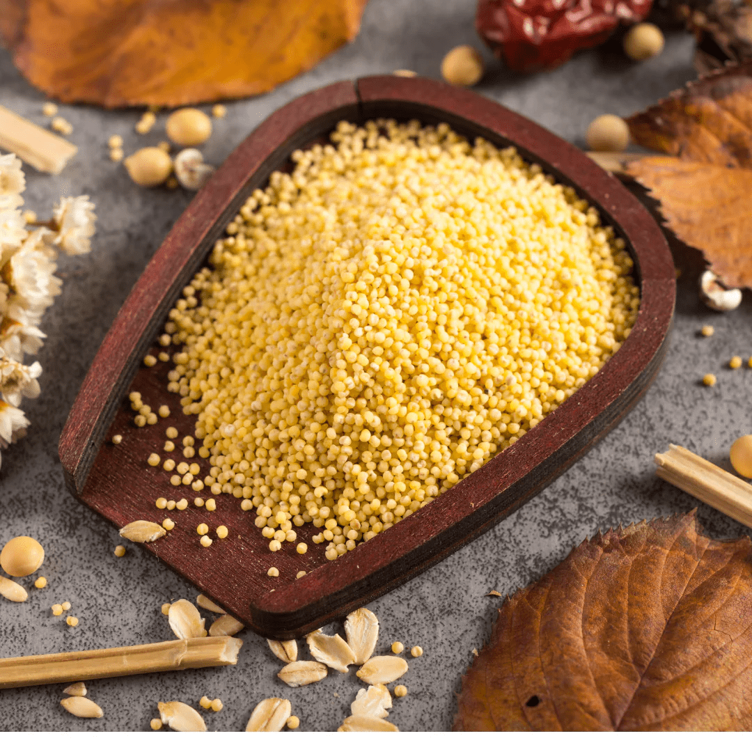 Top-rated Barnyard millet suppliers India 2025