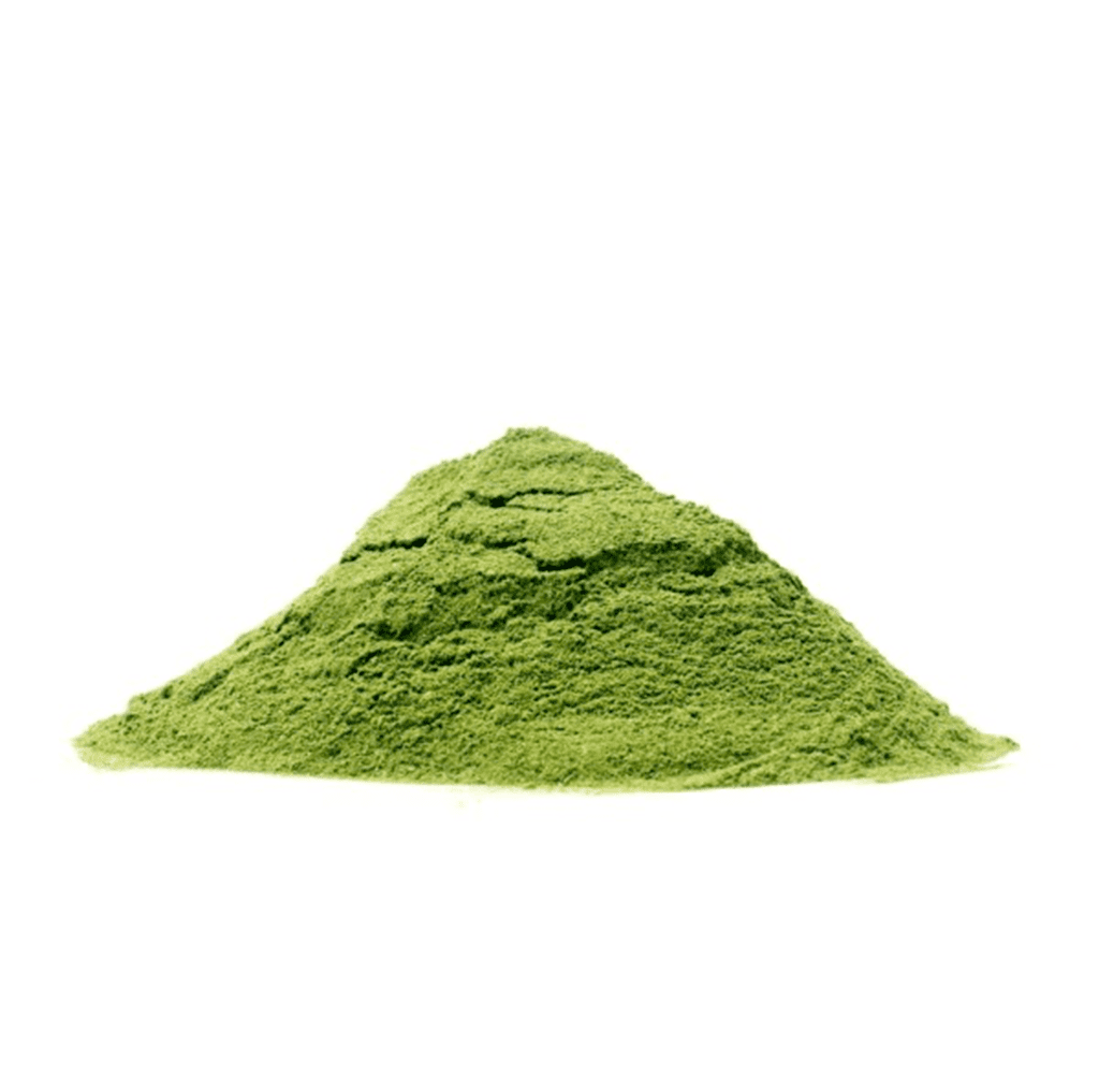 moringa-powder-suppliers-india
