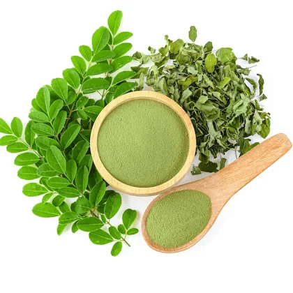 Certified Moringa Superfood Exporters in Tamil Nadu