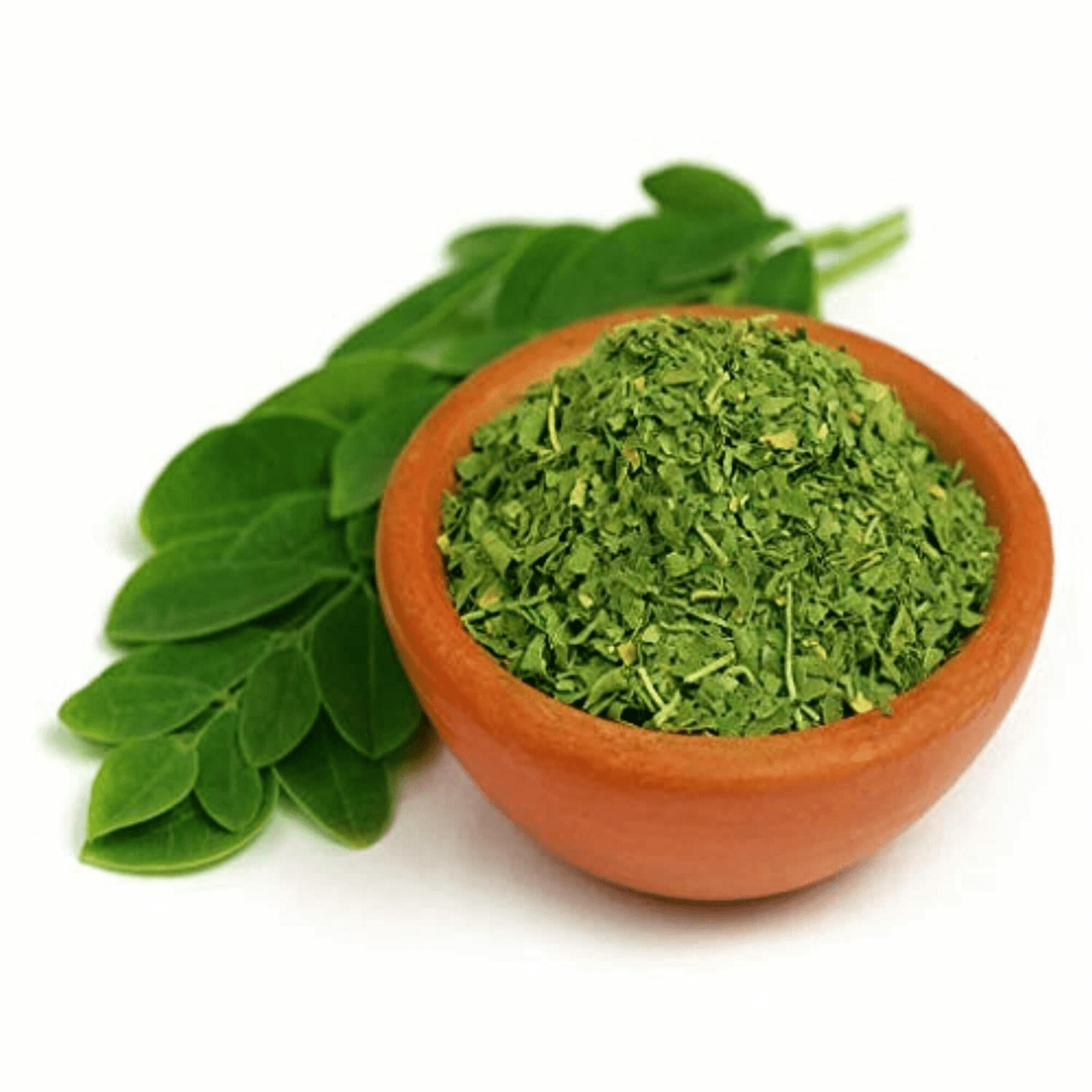 moringa-leaves-exporters-india