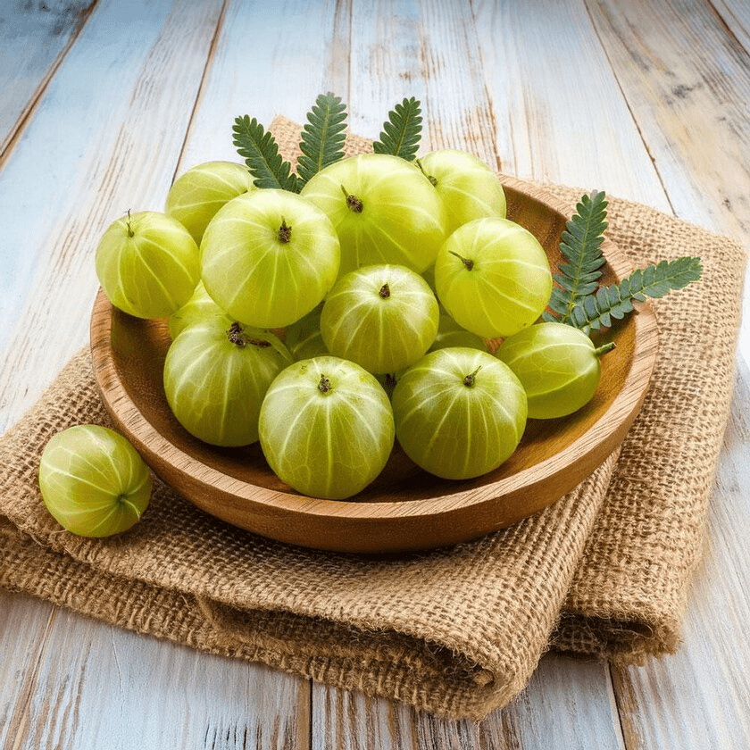 Indian amla fruit packed for export