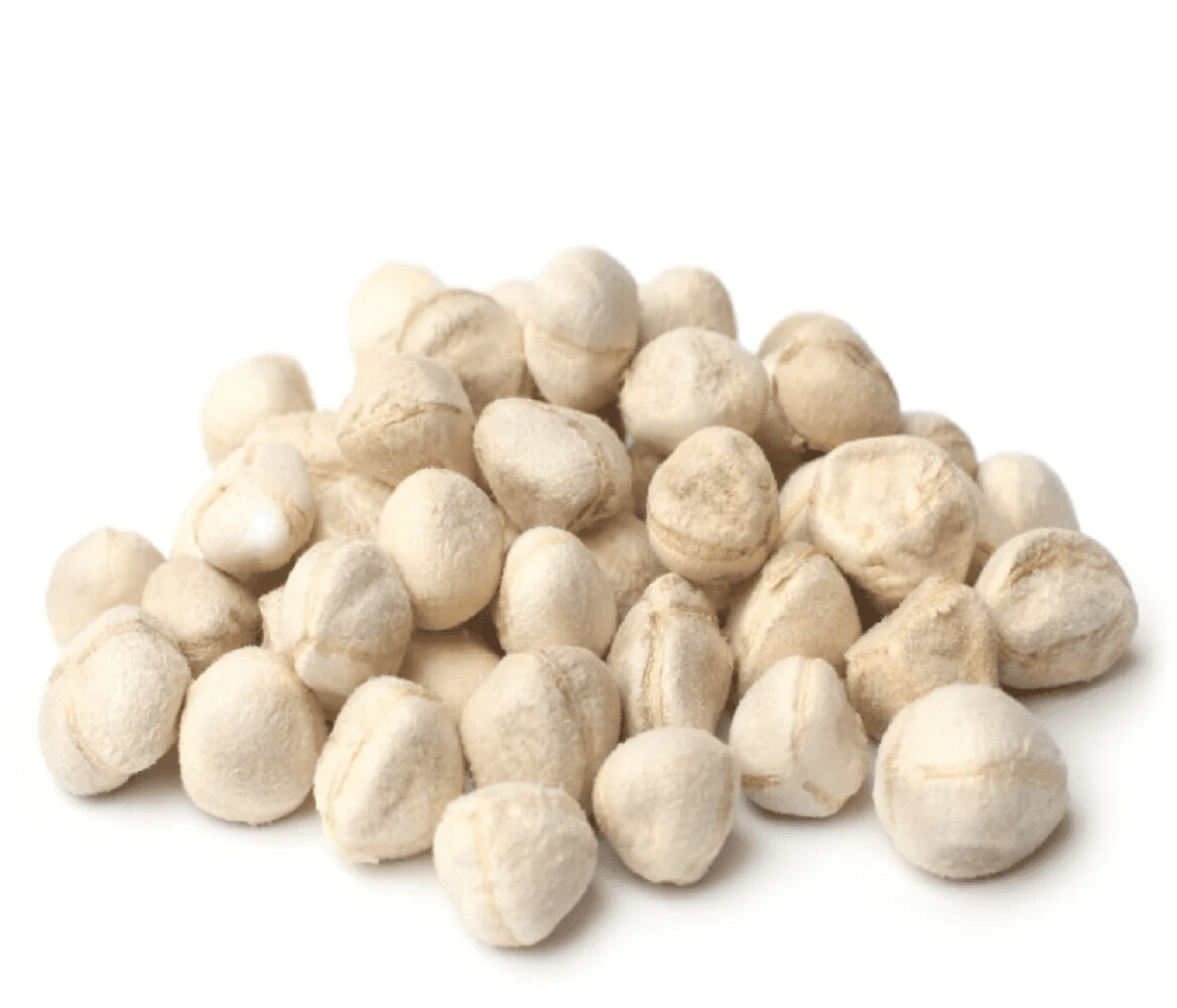 Moringa Seed Kernel Exporter for Nutritional Products