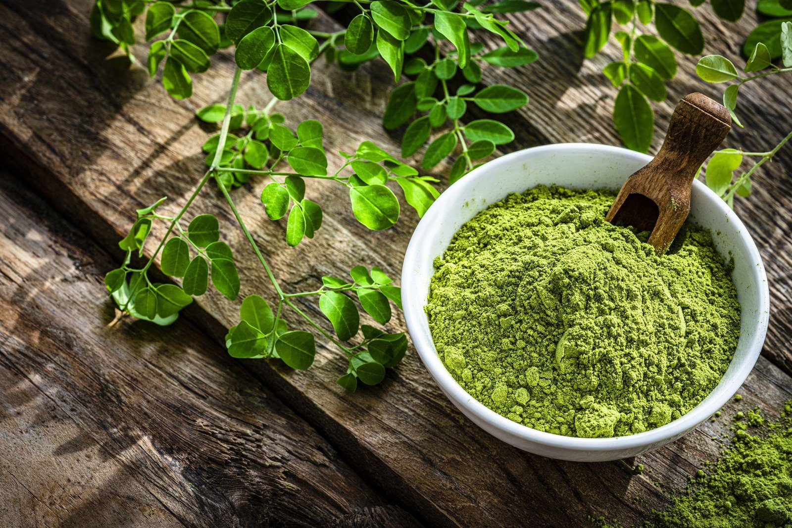 Moringa Seeds Supplier for Supplements and Health Products