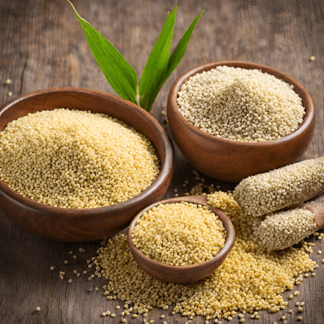 millet bulk supplier – Healthy superfood from India