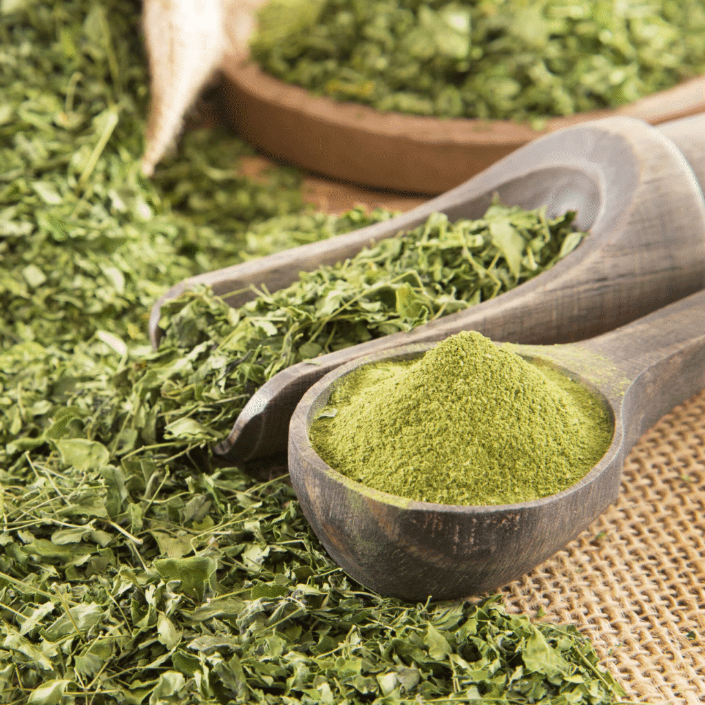 Dried Moringa Leaves and Fine Green Powder – Premium Quality Organic Moringa for Health and Export from India