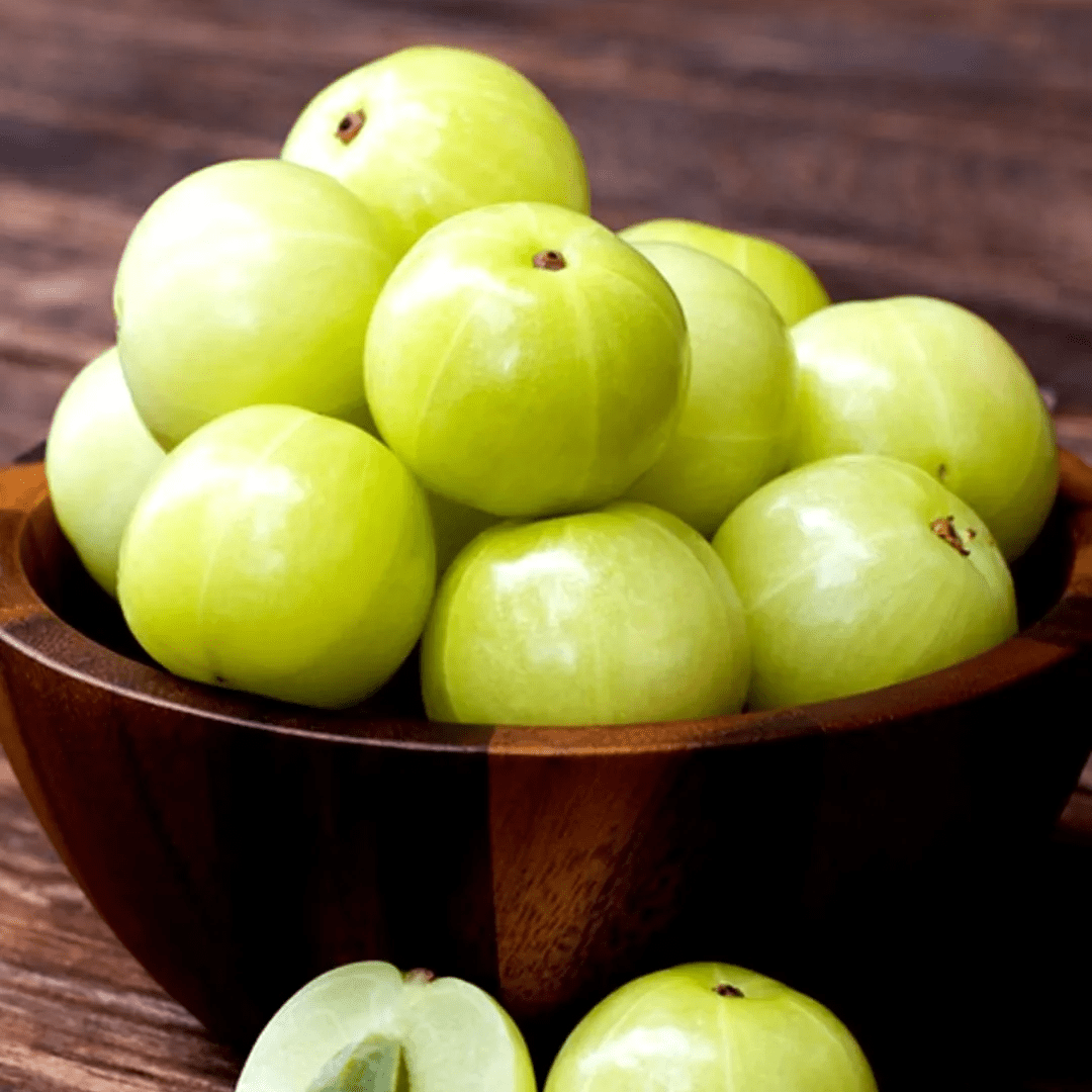 Organic Indian gooseberries ready for bulk export