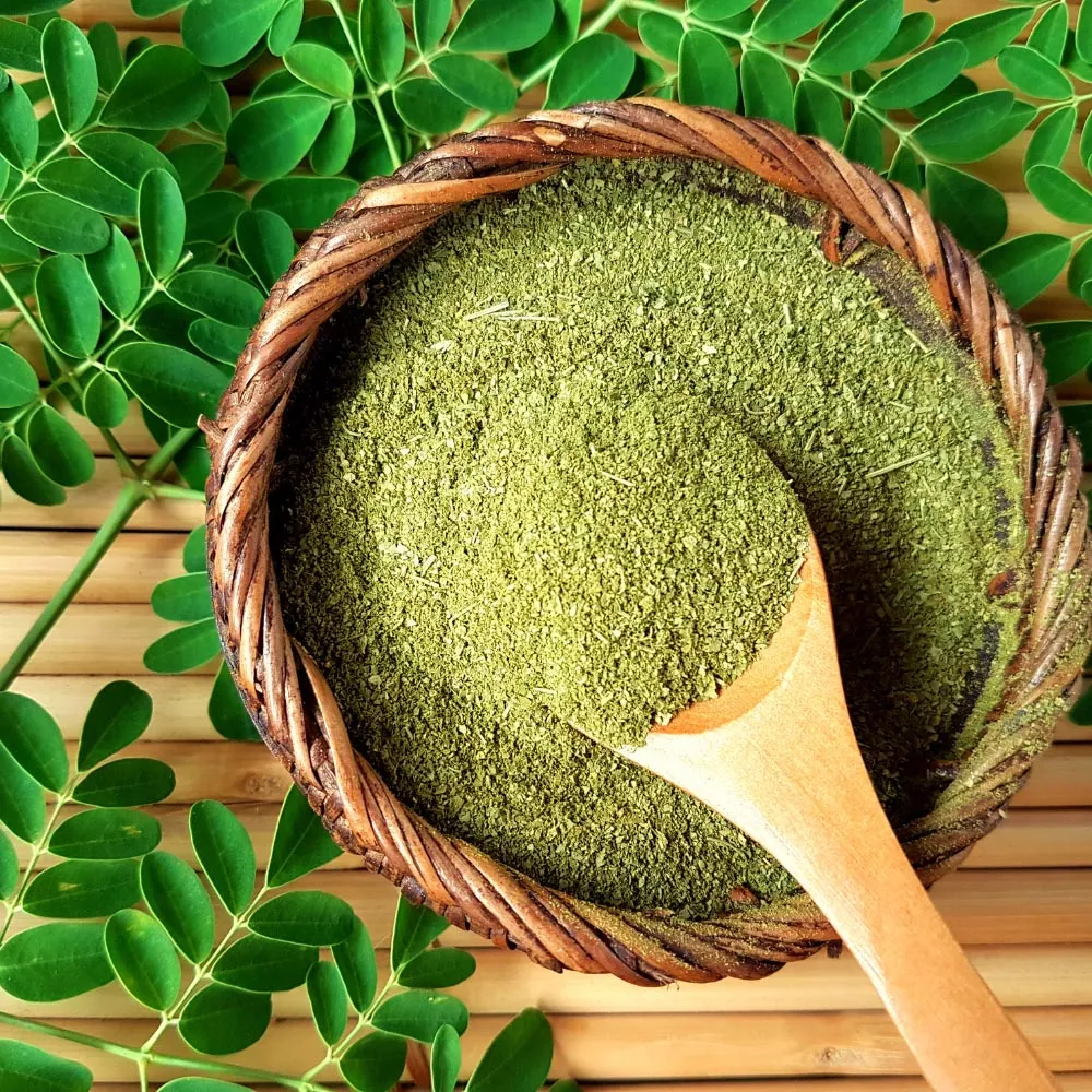 moringa-powder-suppliers-india
