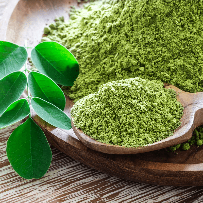 	Organic moringa leaf powder for export in bulk from India – Trusted global supplier