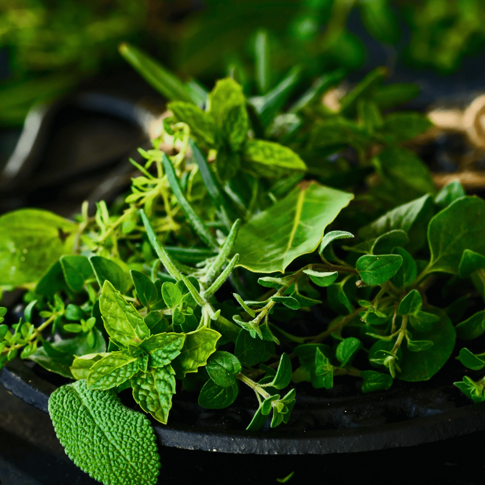 Indian Spices Exporters: Top Quality at Competitive Prices