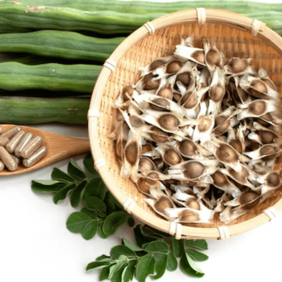 Wholesale Moringa Seeds Supplier for Export Worldwide