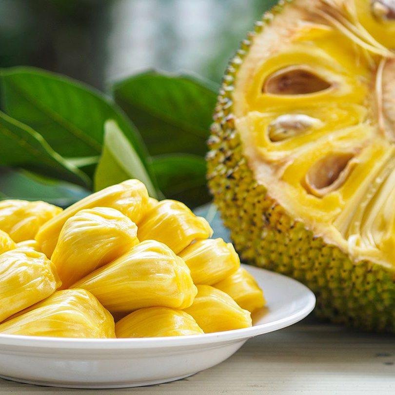 Fresh Indian jackfruit for export – premium quality jackfruit from Coimbatore